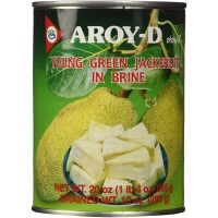 AROY-D Young Green Jackfruit in Brine (24 X 20 OZ)